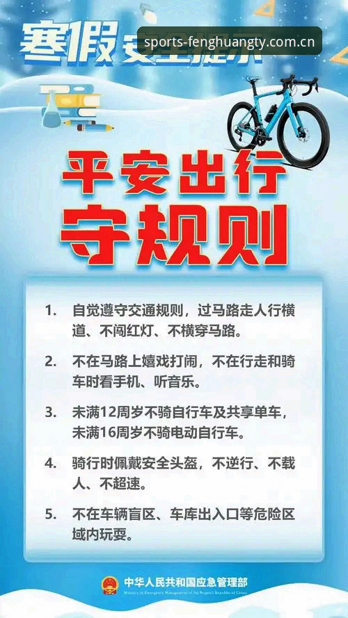 凤凰体育平台安全性详解：从新手到老用户的完整指南
